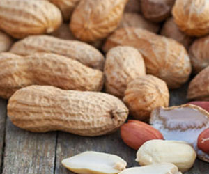 geriausia riebalus deginanti medžiaga ar terapeutas gali padėti numesti svorio
